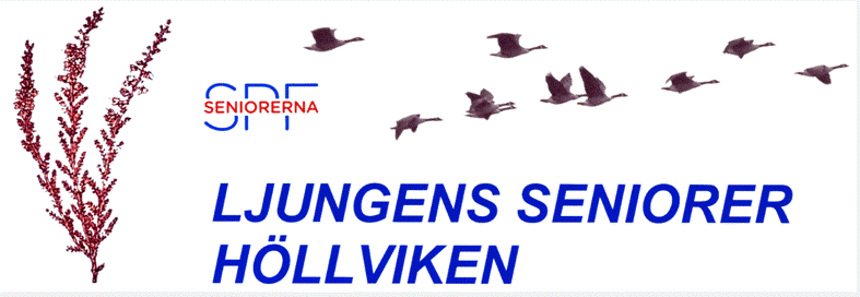 Skärmavbild 2024-10-30 kl. 13.38.11